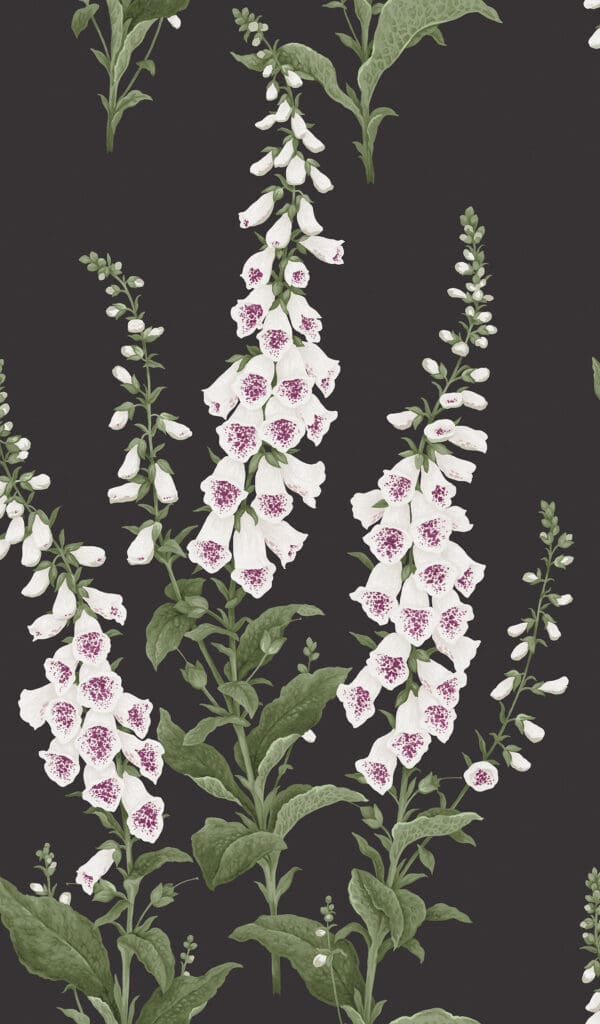 Foxglove Night, sort tapet med hvite revebjeller - Bilde 2